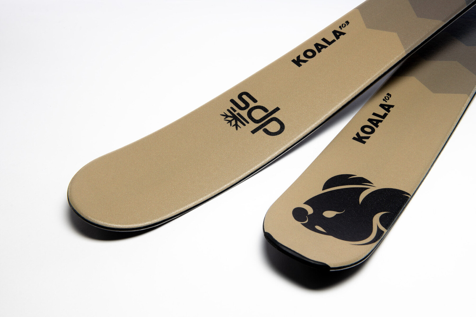 koala_103_1_tip_tail.jpg
