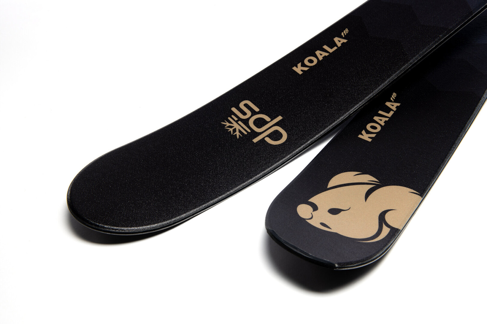 koala_118_1_tip_tail_edit.jpg